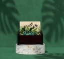 Amazon Coaster Set of 6