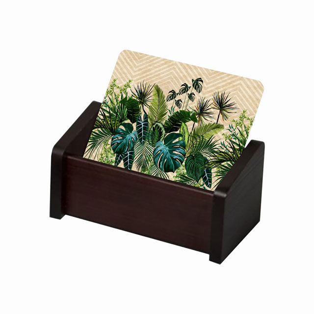 Amazon Coaster Set of 6