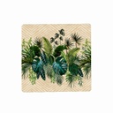 Amazon Coaster Set of 6